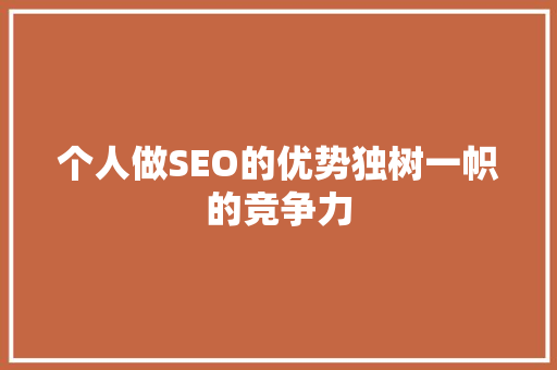 个人做SEO的优势独树一帜的竞争力