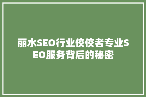 丽水SEO行业佼佼者专业SEO服务背后的秘密