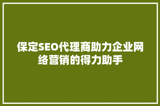 保定SEO代理商助力企业网络营销的得力助手