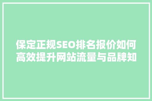 保定正规SEO排名报价如何高效提升网站流量与品牌知名度