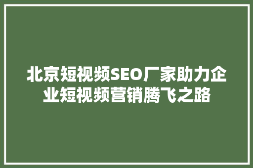北京短视频SEO厂家助力企业短视频营销腾飞之路