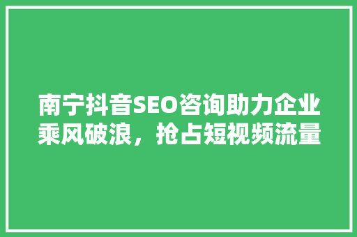 南宁抖音SEO咨询助力企业乘风破浪，抢占短视频流量高地