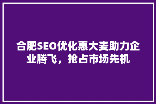 合肥SEO优化惠大麦助力企业腾飞，抢占市场先机