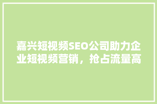 嘉兴短视频SEO公司助力企业短视频营销，抢占流量高地
