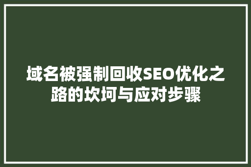 域名被强制回收SEO优化之路的坎坷与应对步骤
