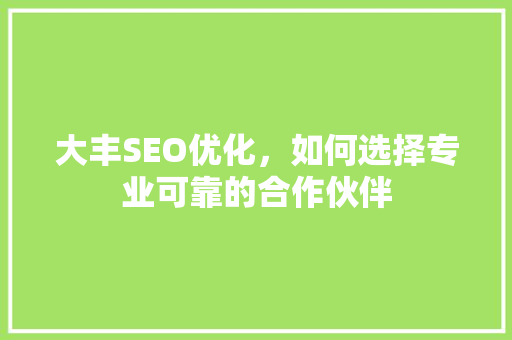 大丰SEO优化，如何选择专业可靠的合作伙伴
