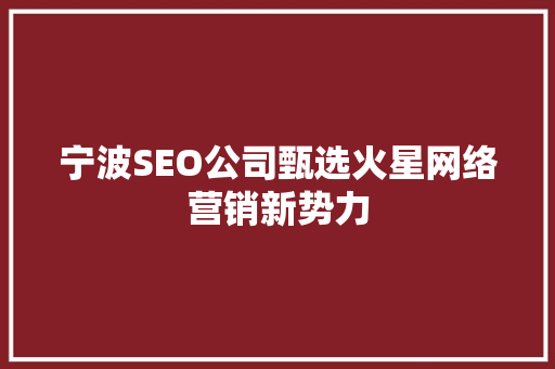 宁波SEO公司甄选火星网络营销新势力