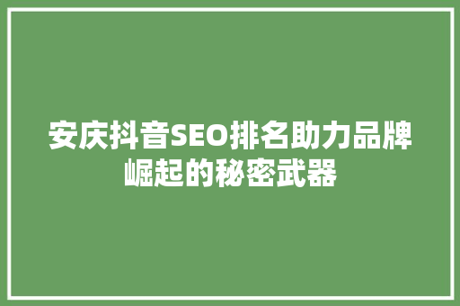 安庆抖音SEO排名助力品牌崛起的秘密武器