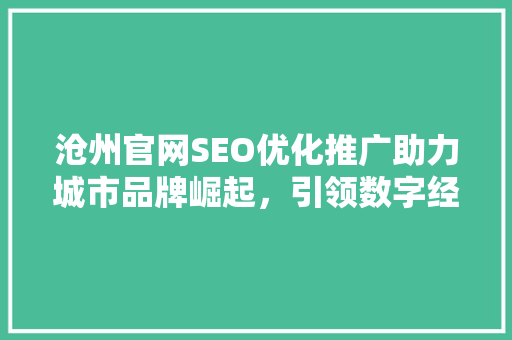 沧州官网SEO优化推广助力城市品牌崛起，引领数字经济发展新潮流