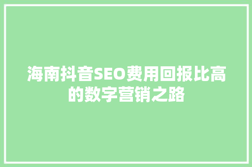 海南抖音SEO费用回报比高的数字营销之路