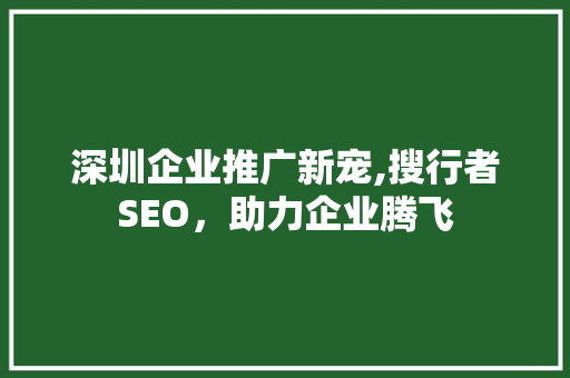 深圳企业推广新宠,搜行者SEO，助力企业腾飞