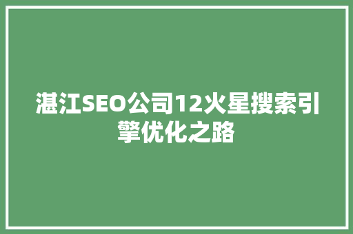 湛江SEO公司12火星搜索引擎优化之路