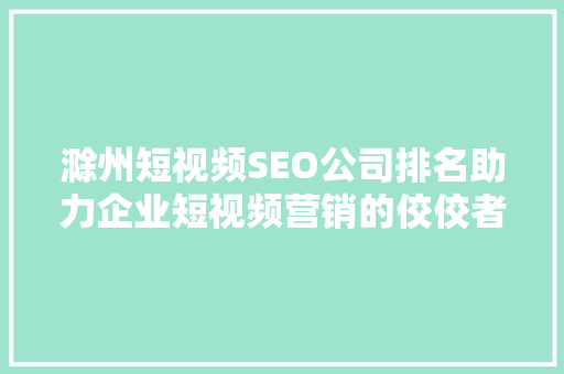 滁州短视频SEO公司排名助力企业短视频营销的佼佼者  第1张