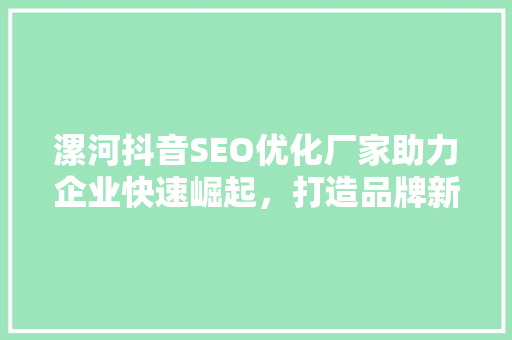 漯河抖音SEO优化厂家助力企业快速崛起，打造品牌新高度
