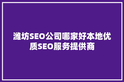 潍坊SEO公司哪家好本地优质SEO服务提供商