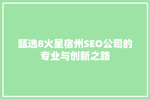 甄选8火星宿州SEO公司的专业与创新之路