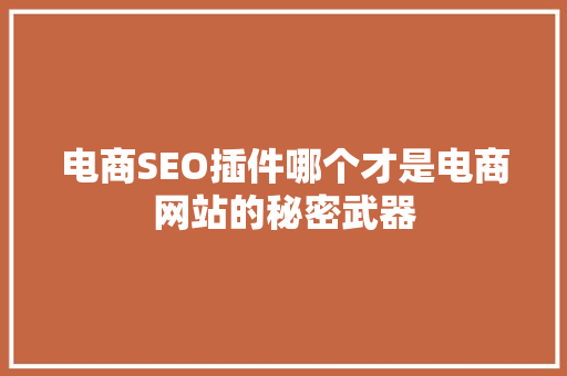 电商SEO插件哪个才是电商网站的秘密武器