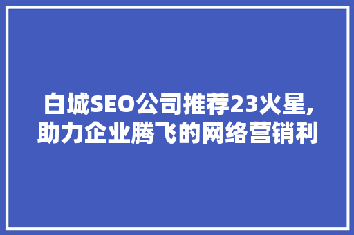 白城SEO公司推荐23火星,助力企业腾飞的网络营销利器