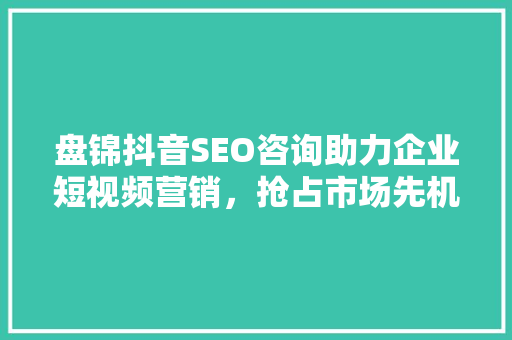 盘锦抖音SEO咨询助力企业短视频营销，抢占市场先机