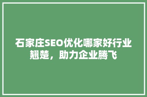 石家庄SEO优化哪家好行业翘楚，助力企业腾飞