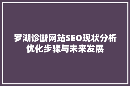 罗湖诊断网站SEO现状分析优化步骤与未来发展