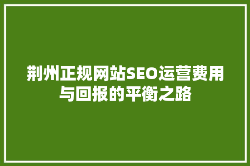 荆州正规网站SEO运营费用与回报的平衡之路