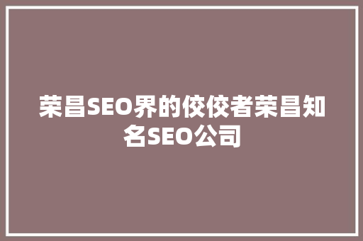 荣昌SEO界的佼佼者荣昌知名SEO公司
