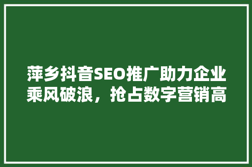 萍乡抖音SEO推广助力企业乘风破浪，抢占数字营销高地