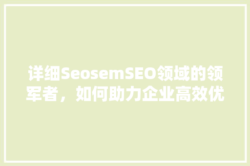 详细SeosemSEO领域的领军者，如何助力企业高效优化搜索引擎排名