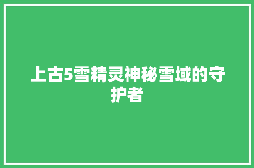 上古5雪精灵神秘雪域的守护者