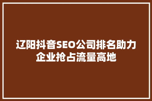 辽阳抖音SEO公司排名助力企业抢占流量高地