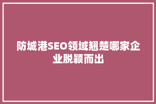 防城港SEO领域翘楚哪家企业脱颖而出