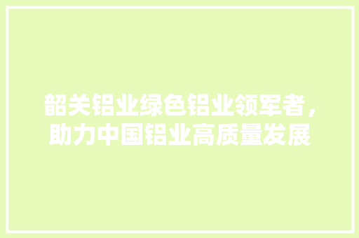 韶关铝业绿色铝业领军者，助力中国铝业高质量发展