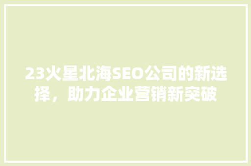 23火星北海SEO公司的新选择，助力企业营销新突破