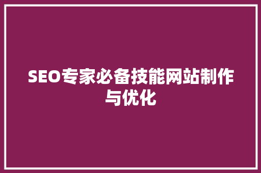 SEO专家必备技能网站制作与优化