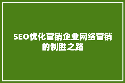 SEO优化营销企业网络营销的制胜之路