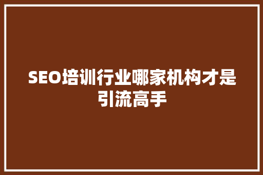SEO培训行业哪家机构才是引流高手