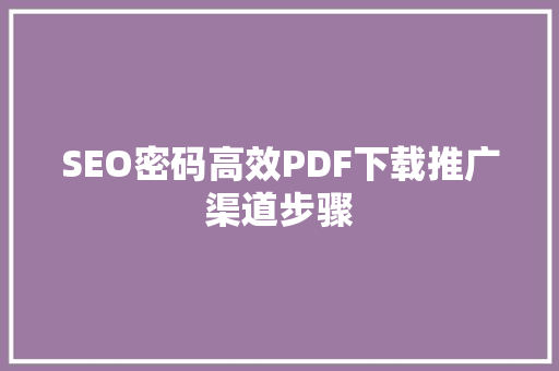 SEO密码高效PDF下载推广渠道步骤