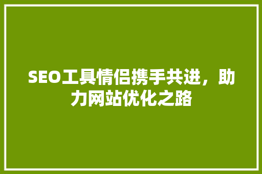 SEO工具情侣携手共进，助力网站优化之路