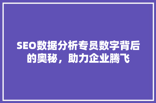 SEO数据分析专员数字背后的奥秘，助力企业腾飞