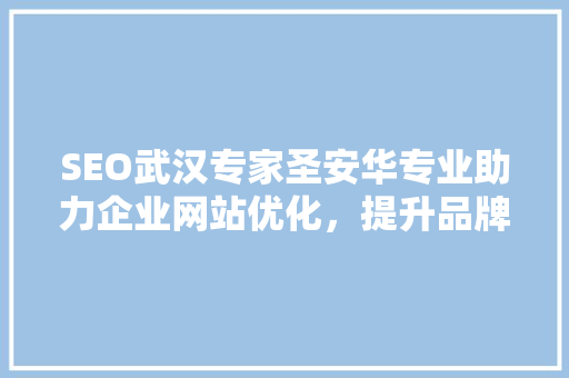 SEO武汉专家圣安华专业助力企业网站优化，提升品牌影响力