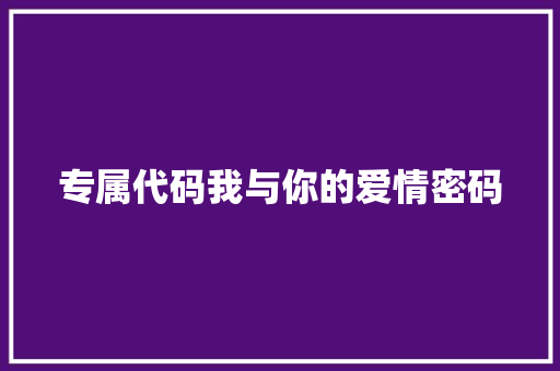 专属代码我与你的爱情密码