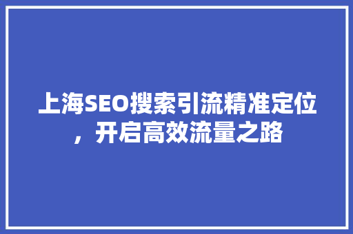 上海SEO搜索引流精准定位，开启高效流量之路