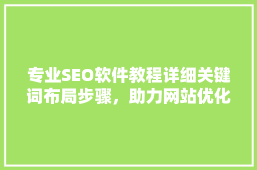 专业SEO软件教程详细关键词布局步骤，助力网站优化