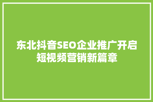 东北抖音SEO企业推广开启短视频营销新篇章