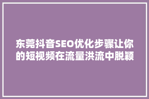 东莞抖音SEO优化步骤让你的短视频在流量洪流中脱颖而出  第1张