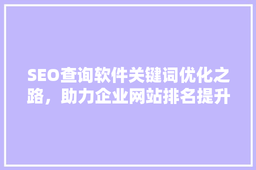 SEO查询软件关键词优化之路，助力企业网站排名提升