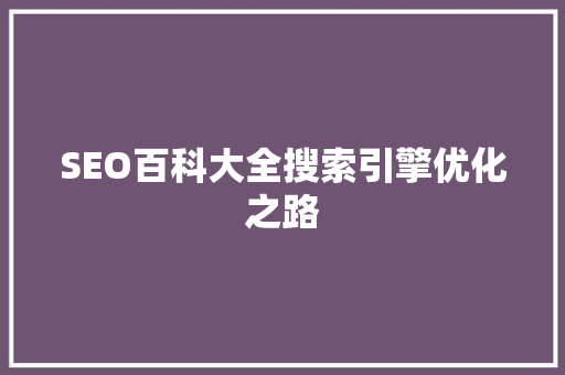 SEO百科大全搜索引擎优化之路