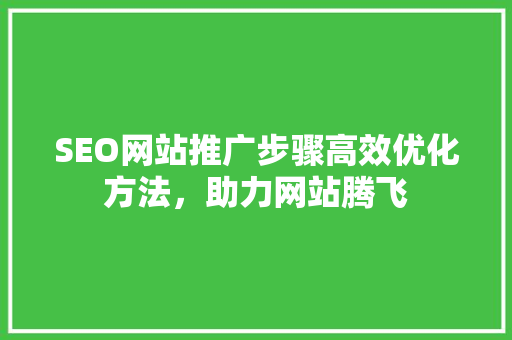 SEO网站推广步骤高效优化方法，助力网站腾飞