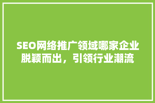 SEO网络推广领域哪家企业脱颖而出，引领行业潮流
